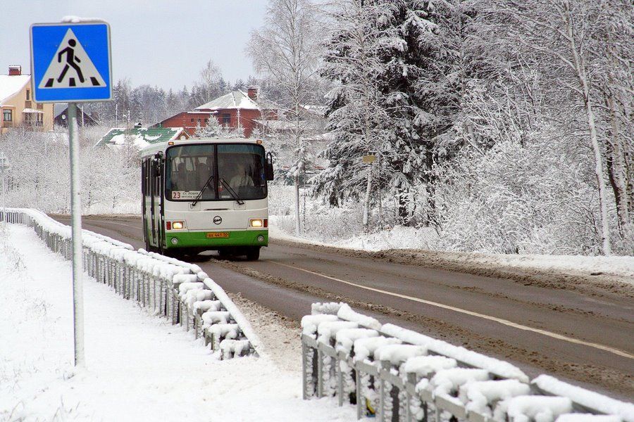 Депутаты исправляют «ошибки» новой системы общественного транспорта