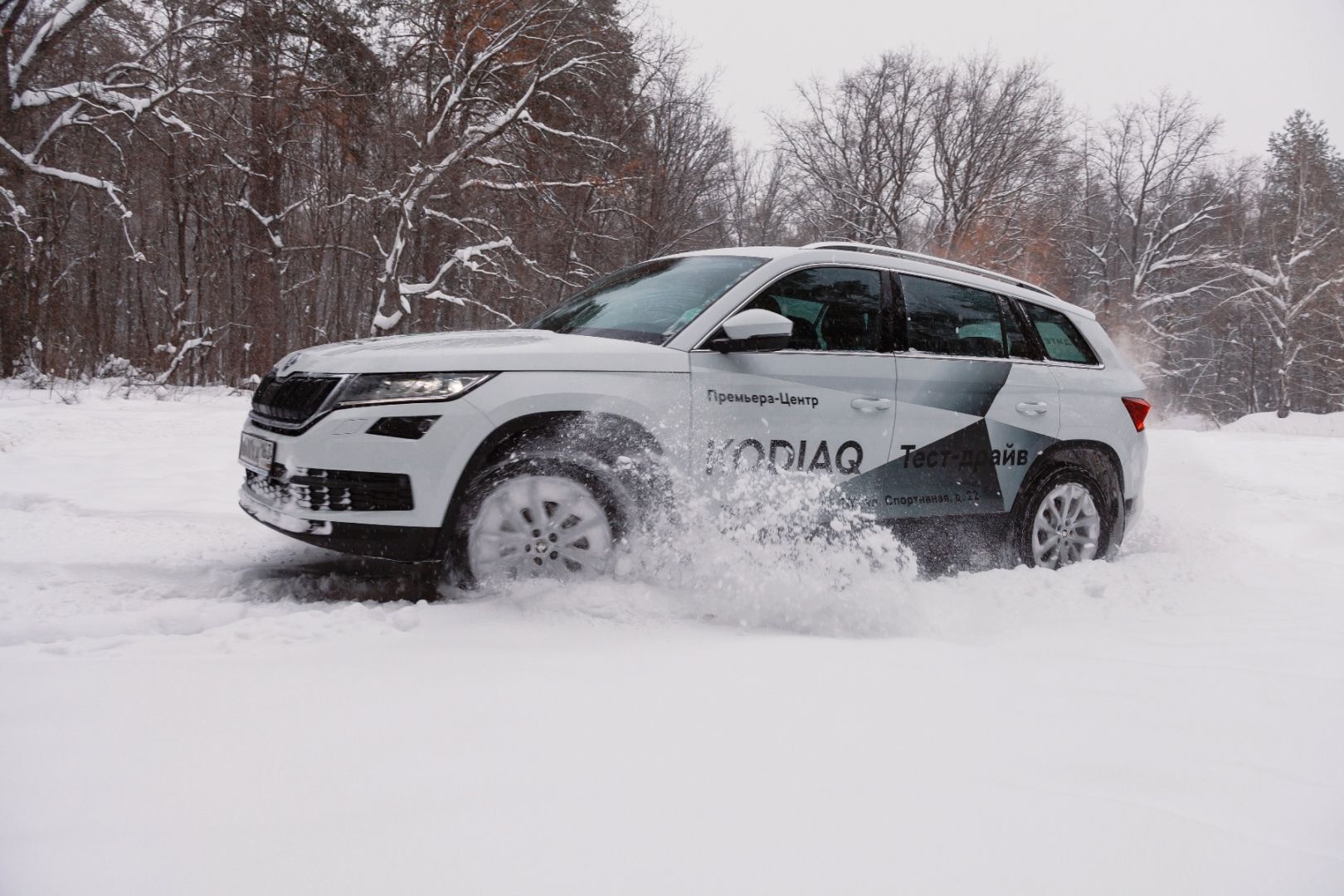 Белый медведь: тест-драйв ŠKODA KODIAQ