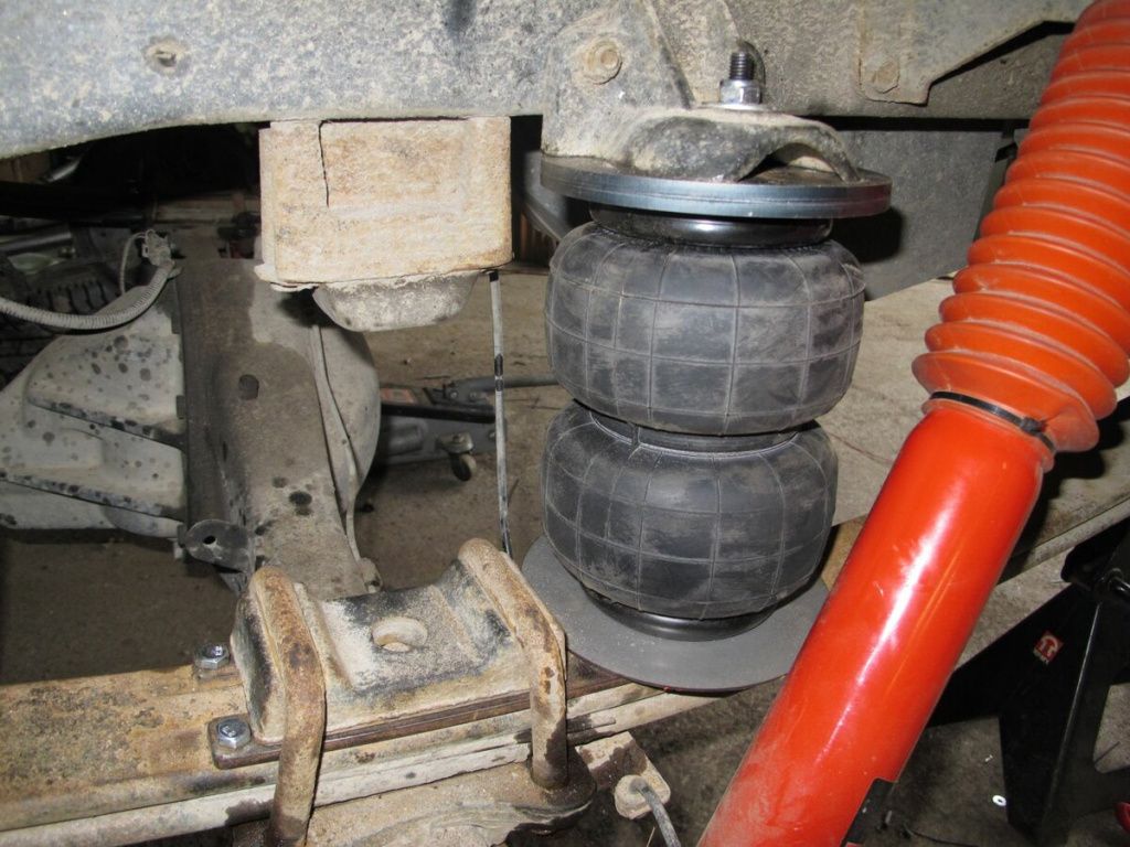 scale_1200 (10).jpg